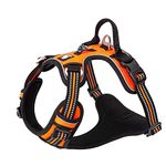 TRUE LOVE Dog Harness No Pull Nylon Reflective Pet Harness Adjustable Comfortable Control Step-in Brilliant Colors Truelove TLH56512