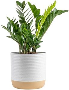 Costa Farms ZZ Plant, Live Indoor Houseplant in Modern Decor Planter, Natural Air Purifier in Potting Soil, Gift for Plant Lovers, Birthday Gift, Tabletop Living Room Decor, Desk Decor, 22-Inches Tall