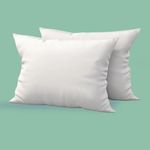 Trendy Home 12x20 Throw Pillow Inse