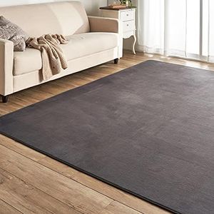 Iris Plaza Flannel Rug, Comfort Area Rug, Rug, Dark Gray, 51.2 x 72.8 inches (130 x 185 cm), FNR-RC-1318 e, Dark Gray