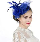 IBLUELOVER Women Fascinator Hat Flower Feather Mesh Veil Pillbox Hat Wedding Bridal Headdress Retro Hat Cocktail Tea Hair Accessories with Clip for Church Banquet Dance Hen Party Royal Blue