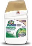 Bonide Captain Jack's Deadweed Brew, 16 oz Concentrate for All Types of Weeds and Grasses, For Organic Home Gardening