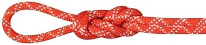 Mammut 9.5 Gym Classic Rope - Raspb