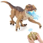 NEXBOX Remote Controlled Dino Gift for Kids - RC T-rex Dinosaur Toy Electric Christmas Birthday Prehistoric Creatures for 3-12 Years Boys and Girls