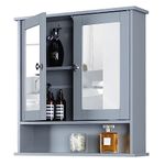 Design House Medicine Cabinets