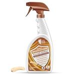 Woodworm Killer Spray 750ml: Protection Against Beetles & Termites, Safe for Indoor Use, VOC-Free with Permethrin, Easy Application & Clean-up, Lasts 5 Years