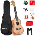 Vangoa Ukulele 23" Adult Professional Okoume Top Concert Ukelele for Beginner Arm Rest Ukulele Kit with Gig Bag Strap Nylon String Tuner Picks, VU703, Burlywood