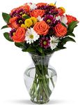 Benchmark Bouquets Life is Good Flowers Orange, Prime Delivery, Vase Included, Grower Direct Fresh Cut Flowers, Gift for Home Décor, Birthday, Anniversary, Get Well, Sympathy, Friendship and Love.