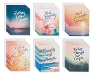 American Greetings Sympathy Card Assortment, Nature (48-Count)