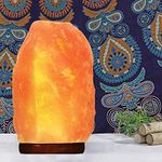 Crystal Hideaway Himalayan Salt Lamp Natural Pink Salt Lamp Hand Carved Crystal Salt Rock Lamp Night Light with Dimmer Switch Cord and Wood Base for Home Décor (6.5 Inches)