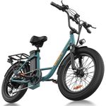 URLIFE Electric Bikes for Adults, 20" x 3.0 Fat Tire E Bike with 7 Speed, 48V 13Ah Removable Battery, 250W Motor Ebike with Colorful LCD Display for Adults (Green)