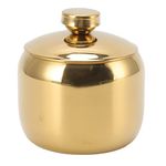 HYWHUYANG Stainless Steel Seasoning Condiment Pot, Moisture & Dust Proof Seasoning Jar, Storage Container with Lid, Pots for Spice, Salt, Sugar, Pepper, Arlic, Salad, Potato Corner, Powder(Gold)