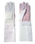 Fencing Glove