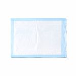 Medline Industries MSC281230 Protection Plus Disposable Underpads, Moderate Absorbency, 17-Inch X 24-Inch, Blue (Pack of 300)