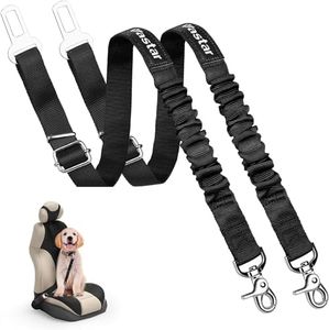 Vastar Dog