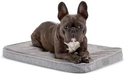 Diggs Snooz Dog Bed, Light Grey, Small (Memory Foam Dog Bed, Orthopedic Dog Bed, Puppy Bed, Pet Bed) Dog Crate Pad, Dog Crate Bed