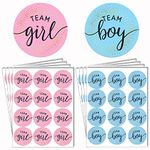 96pcs Gender Reveal Stickers - 48 x Team Boy & 48 x Team Girl Stickers - Blue and Pink Round Labels Baby Reveal Game Voting Stickers for Baby Shower Gender Reveal Party Decoration Supplies (Style 1)