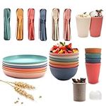 BERRYLION 60Pcs Plastic Dinnerware Sets for 6, Unbreakable Colorful Dinner Dishes, Reusable Lightweight Serving Plates Bowls Cups Forks Tableware Set, Perfect for Camping, Picnic, RV, Parties, BBQ