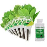 AeroGarden Mixed Romaine Lettuce Seed Pod Kit (6-pod)