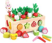 Toddlers Montessori Wooden Educatio