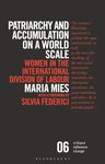 Patriarchy and Accumulation on a World Scale: Women in the International Division of Labour (Critique Influence Change)