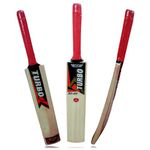 Turbo 20-20 Populer Willow Cricket Bat for Kids (Size 1: for Ages 4-5 Years)