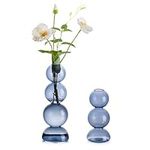Glass Bubble Vases for Flowers, Hew
