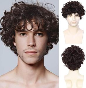 QUEENTAS Brown Men Wig Short Curly Hair Wig for Men Full Head Synthetic Clown Joker Wigs for Man Cosplay Diwali