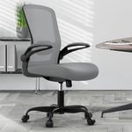 Office Chair, Ergonomic Desk Chair with Adjustable Lumbar Support & Seat Height, High Back Mesh Computer Chair with Flip-up Armrests-BIFMA Passed Task Chairs for Home Office (Modern, Graphite)