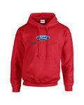 Ford Performance Hooded Sweatshirt Ford Car Hoodie - Black - S