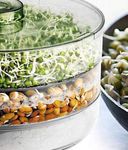 DHYANI Plastic 3 Layer Sprout Maker, Beans Container for Living Healthy Life, Transparent Container, Home Making Fresh Sprouts Beans