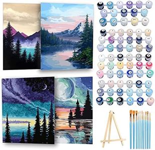 Ninonly 4 Pack Paint by Number for Adults Framed Canvas, DIY Arts and Crafts for Adults Beginner with Wooden Easel, Paint Brushes, Acrylic Paint Set for Home Wall Decor, 9 * 12 Inch