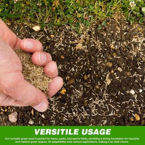 GroundMaster Lawn Grass Seed, 5kg – Premium Turf Blend