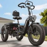 PUCKIPUPPY Electric Tricycle for Adults, Full Suspension & Reverse Gear, 20" 6061 Aluminum Frame 960W Peak Electric Trike Max 55 Miles Black