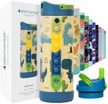 Elemental Iconic Kids Water Bottle with Straw Lid & Stress Reliever Pop It Handle, Leak-Proof When Closed, Triple Insulated Stainless Steel Reusable Thermos Water Bottle, 14oz - Dinosaur