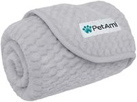 PetAmi Waterproof Dog Blanket, Leakproof Puppy Blanket for Small Medium Dogs, Furniture Sofa Couch Cover Protector, Fleece Pet Throw Indoor Cat Kitten, Reversible Washable Soft Plush, 24x32 Light Gray