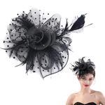 Fascinators Hats Cocktail Tea Party Hats for Women Elegance Hair Band with Mesh veil