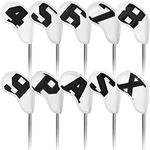 Craftsman Golf Magnetic Iron Head C