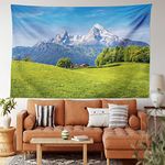 Ambesonne Nature Tapestry, Pastoral Landscape in Alps with Meadow and Flowers Northern German Heaven Print, Wide Wall Hanging for Bedroom Living Room Dorm, 80" X 60", Blue Green