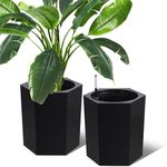 TROPOW 16 Inch Tall Outdoor Planters Set of 2, Self Watering Pots for Indoor Plants with Water Level Monitor & Drainage Hole & Wheels, Large Planter Pots for Garden, Patio, Balcony, Lounge, Black