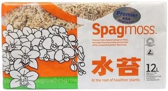 Spagmoss P