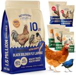 Hatortempt 10 LB Dried Black Soldier Fly Larvae for Chickens – Non-GMO Bulk Insect Larvae, Natural Poultry Feed - Turkey Food - Bird Food - Chicken Feed