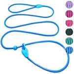 Slip Leads for Dogs Puppy Leash Com