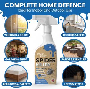 Pestmatic Spider Killer Spray 1L – Fast-Acting Insect Control