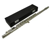 Hisonic Signature Series 2810N Closed 16-hole Flute