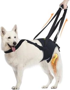 Dog Sling 