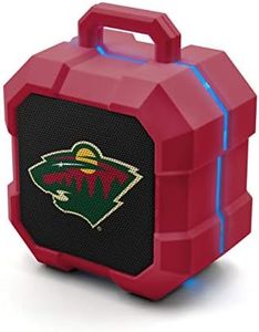NHL Minnes
