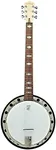 Deering Goodtime Six-R 6-string Banjo With Resonator