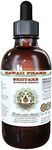 Shiitake Alcohol-Free Liquid Extract, Organic Shiitake (Lentinula Edodes) Dried Mushroom Glycerite 2 oz