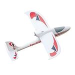 Fms Rc Plane for Adults Easy Traine